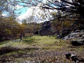 13232889_10209226610165514_985271316158571986_n