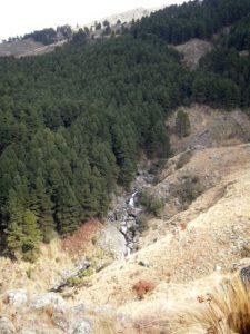 13265992_10209226170034511_6611429451300484048_n