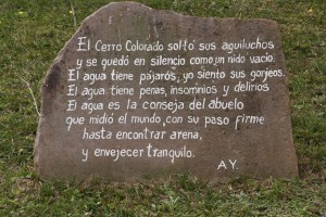 CerroColorado2015 (14)